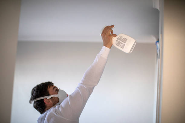 Best Emergency Mold Remediation in Elgin, TX