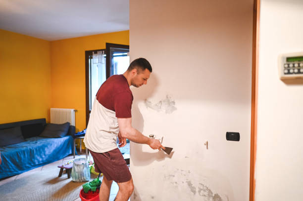 Trusted Elgin, TX Mold Remediation Experts